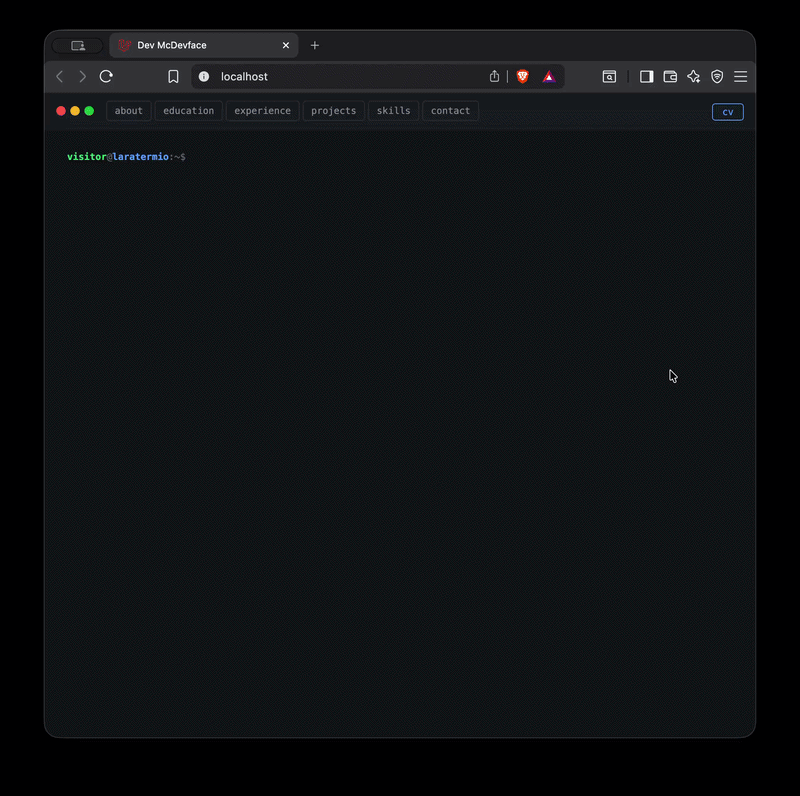 laratermio demo